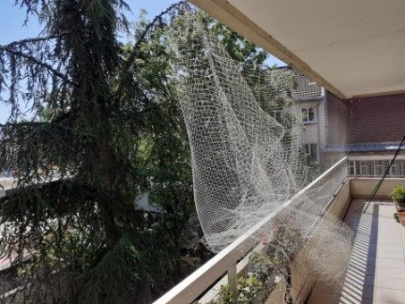 Filet transparent à bannir ! - Protection pour chat pour balcon