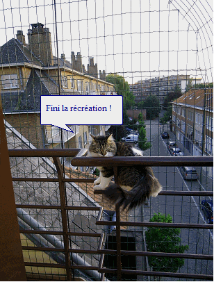 grillage balcon chat