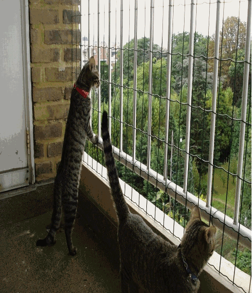 grillage pour balcon